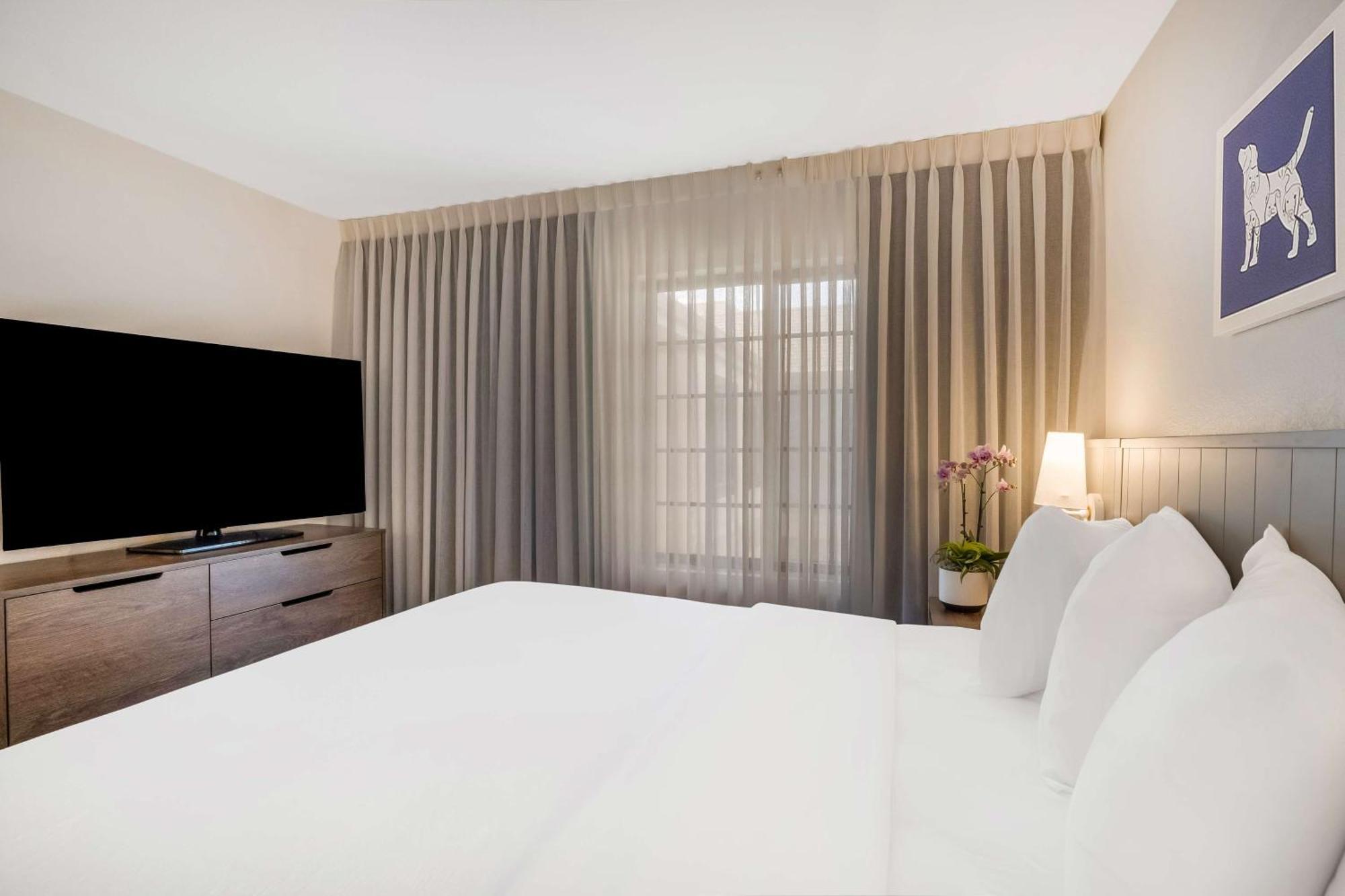 Sonesta Es Suites Denver South Park Meadows Лоун-Трі Екстер'єр фото